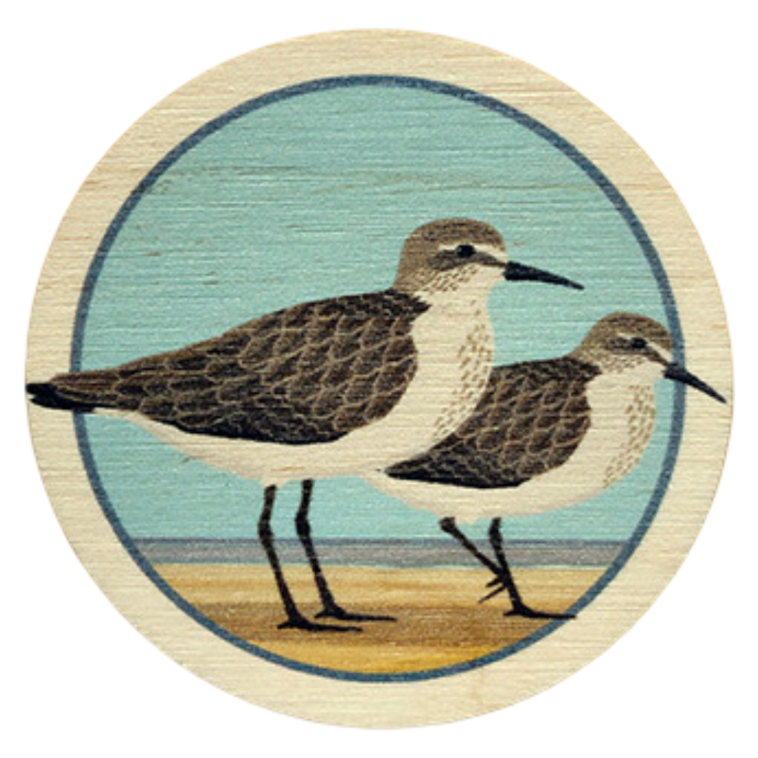 Sandpipers Magnet