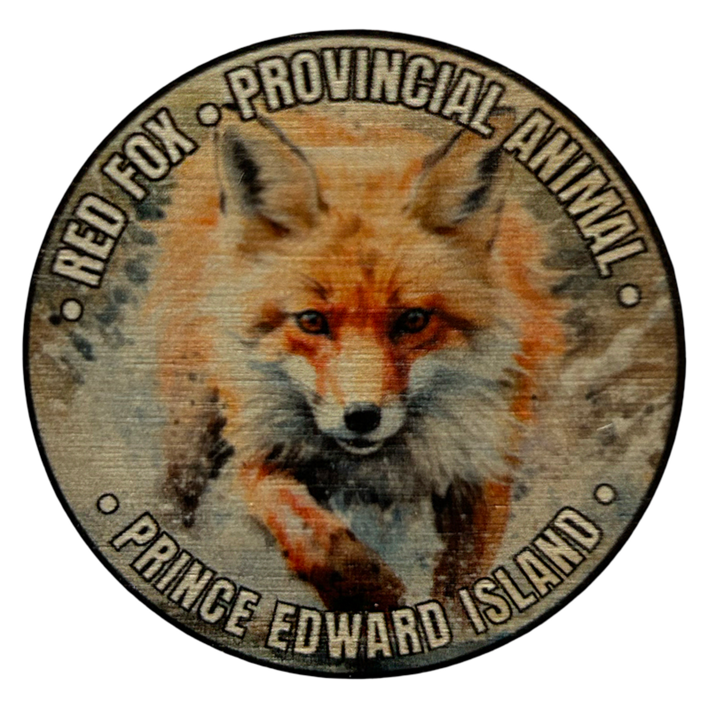 Red Fox PEI Magnet