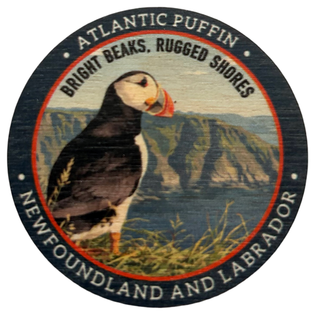 Atlantic Puffin Newfoundland and Labrador Magnet