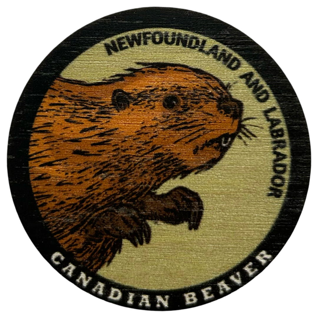 Canadian Beaver Newfoundland and Labrador Magnet