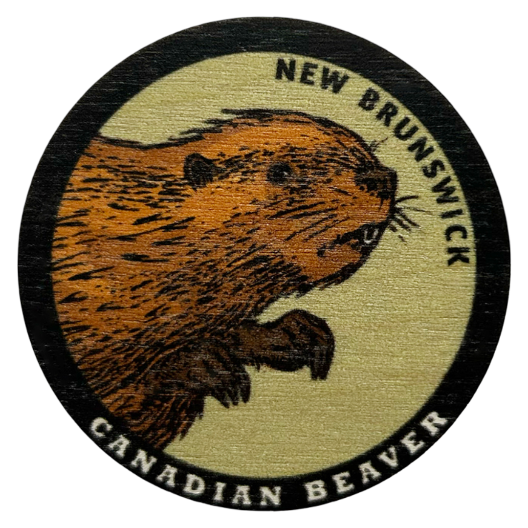 Canadian Beaver New Brunswick Magnet