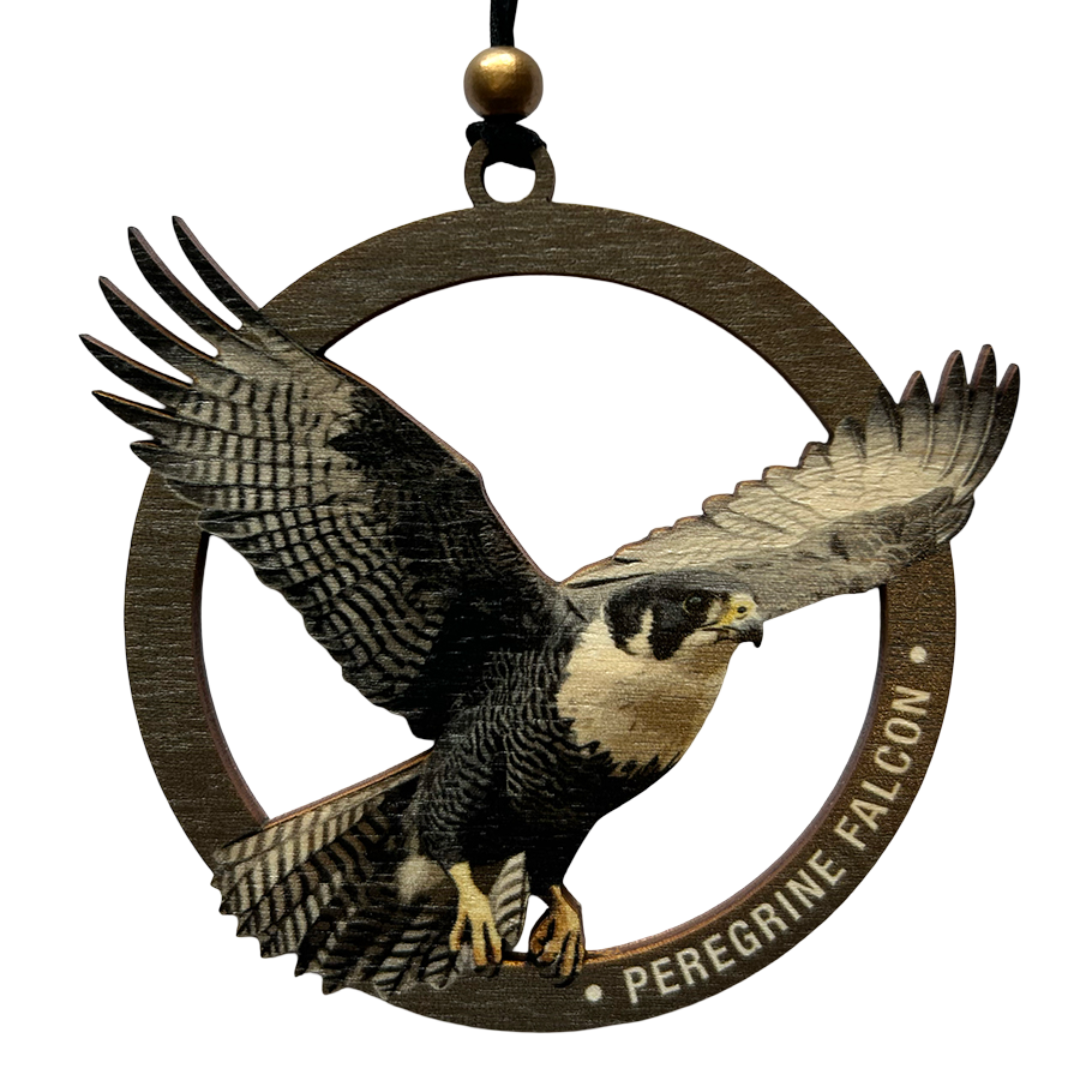 Peregrine Falcon Wild Bird Ornament