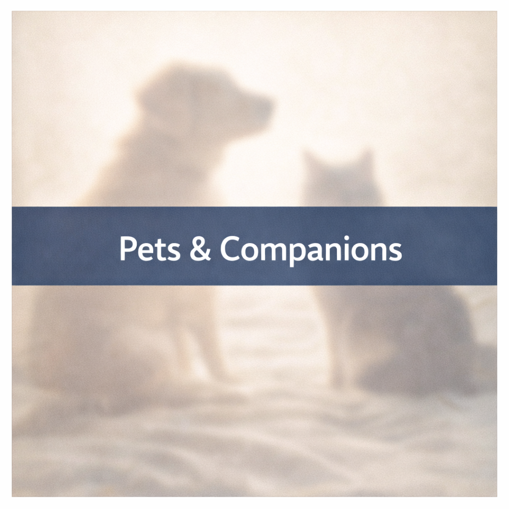 Pets & Companions