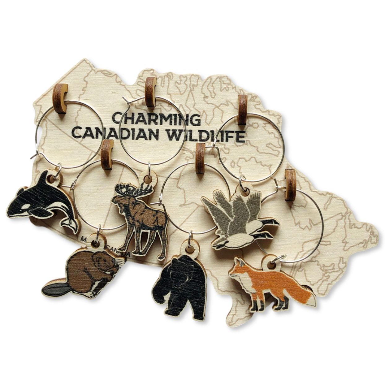 Charming Canadian Wildlife – Atlantic Edition