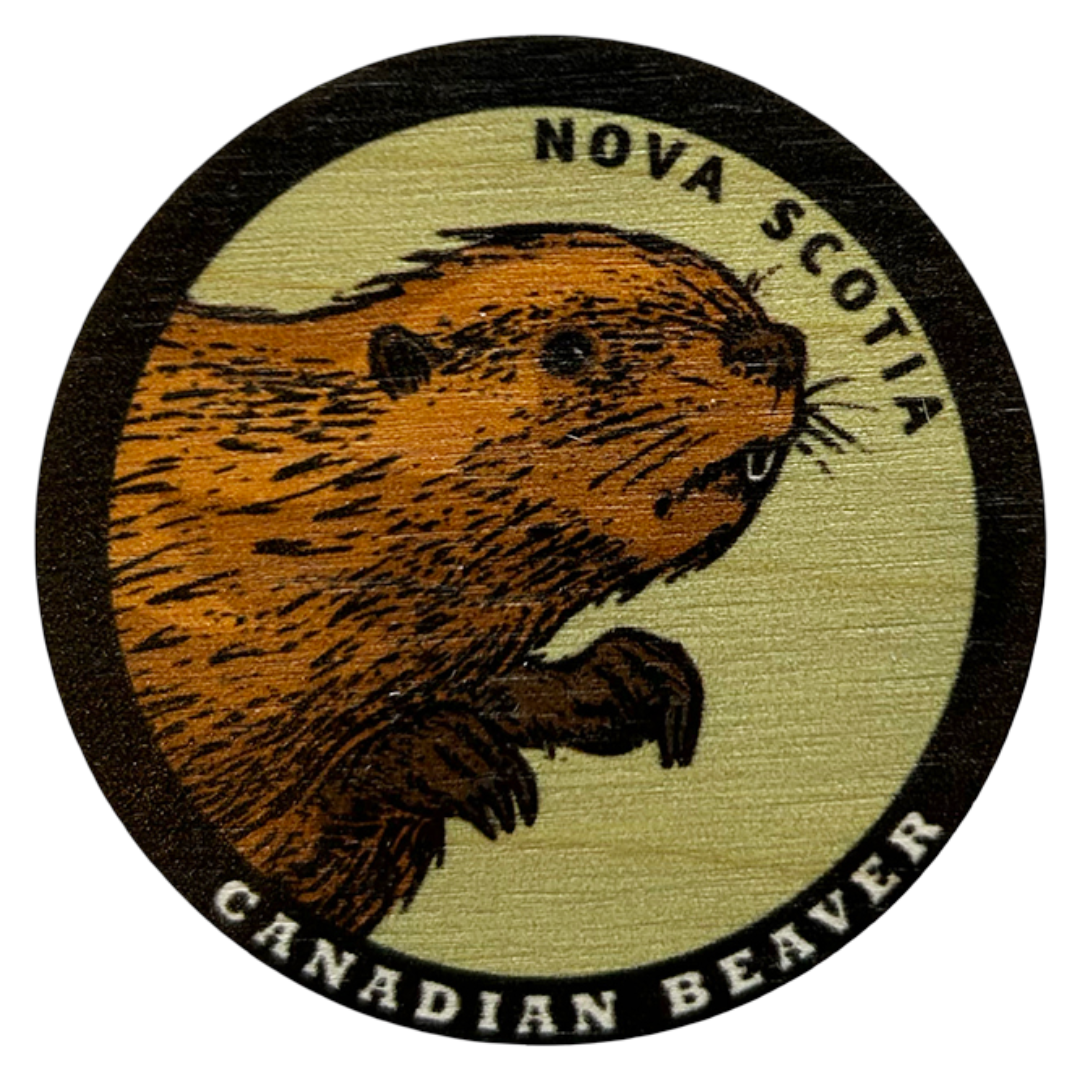 Nova Scotia Beaver Magnet
