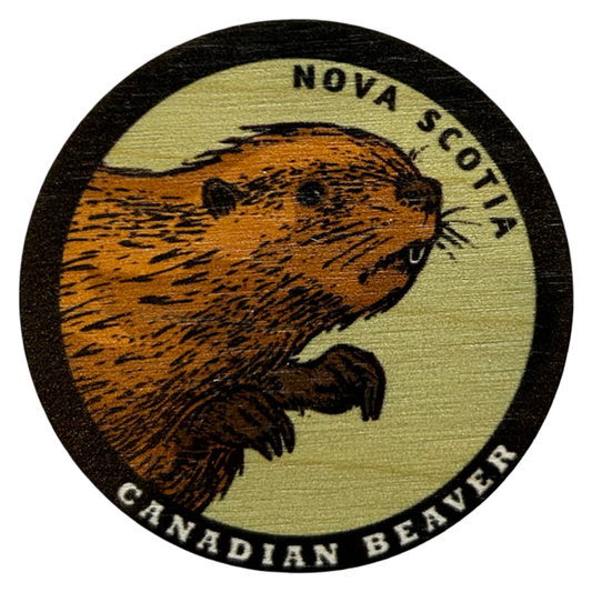Nova Scotia Beaver Magnet