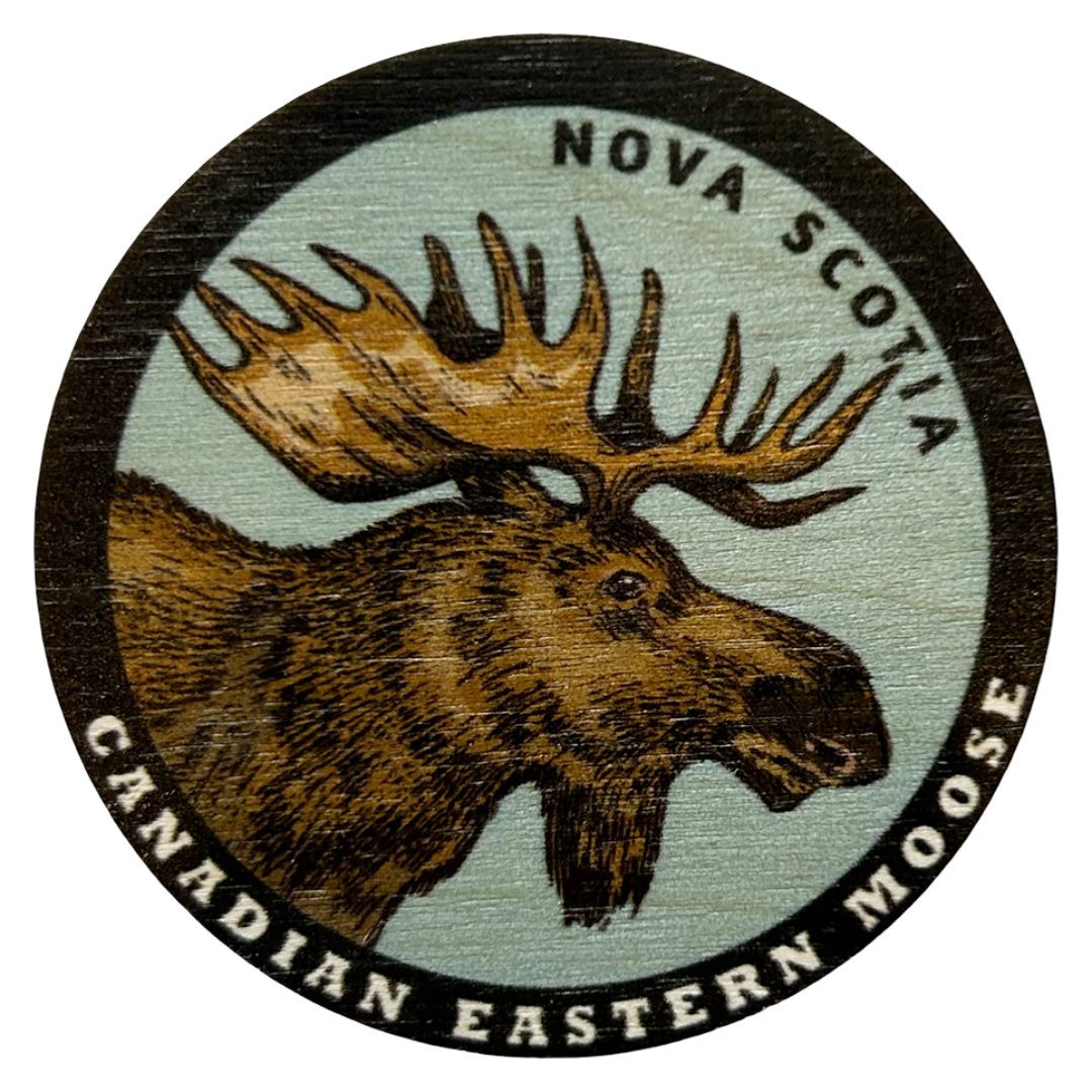 Nova Scotia Moose Magnet