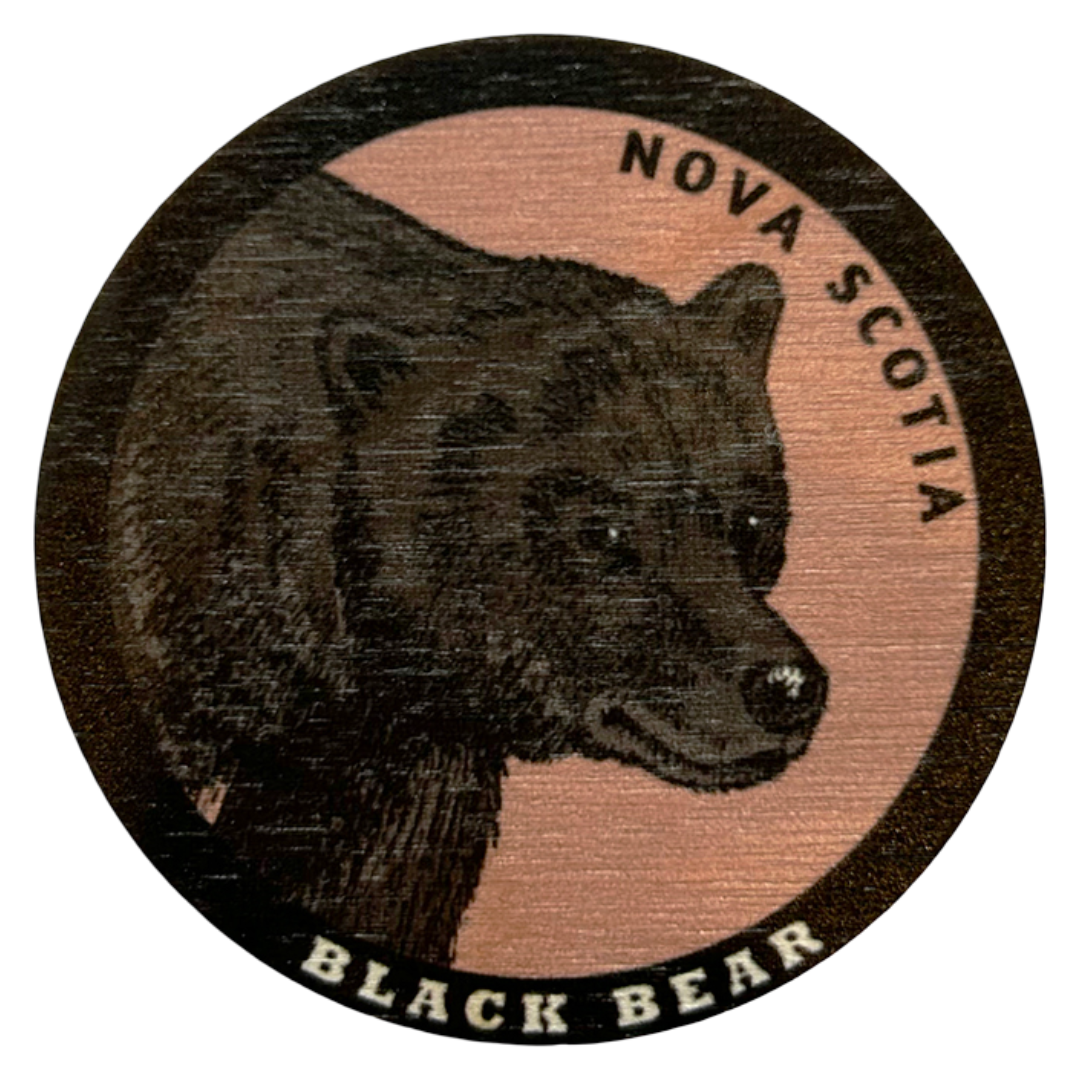 Nova Scotia Bear Magnet