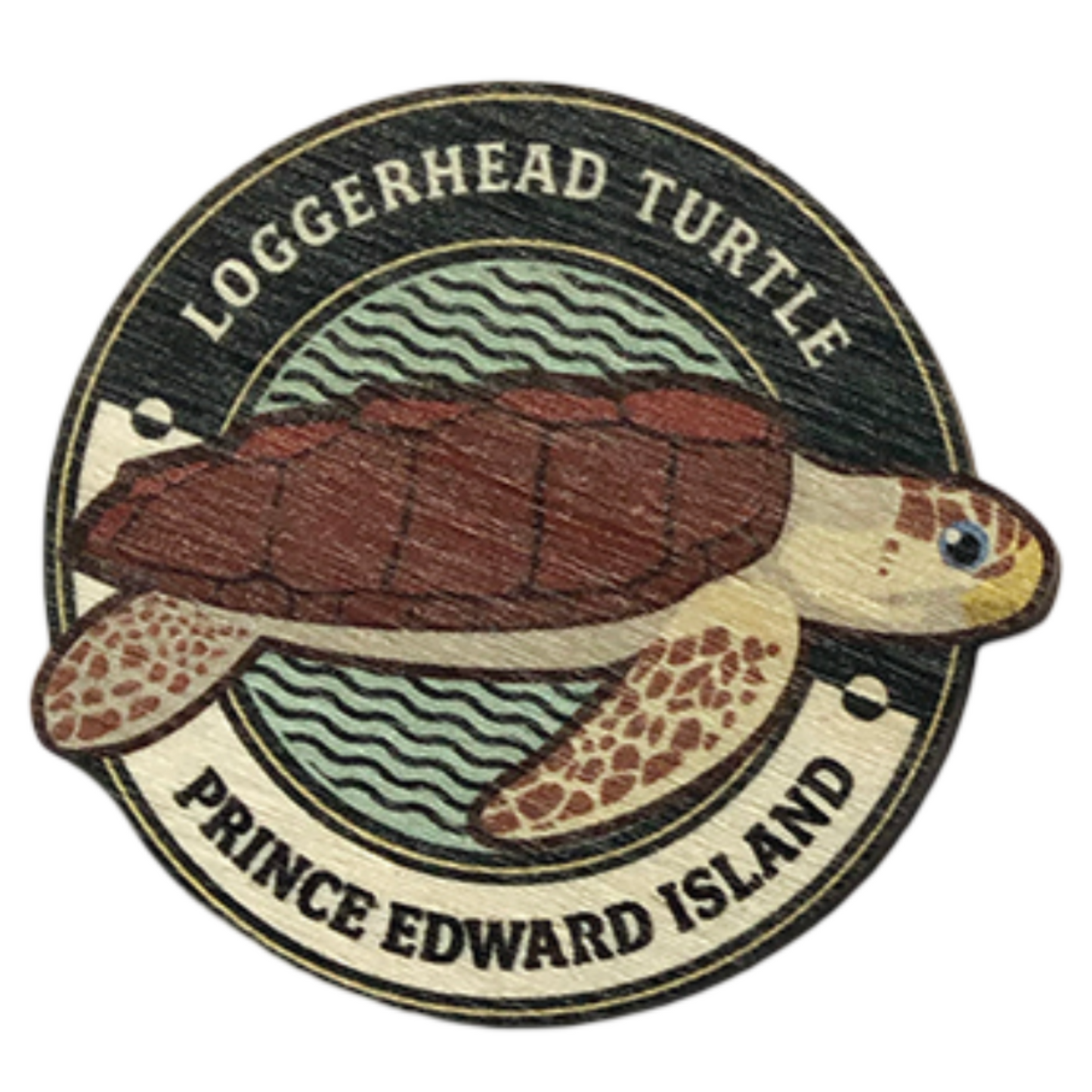 Loggerhead Turtle PEI Magnet