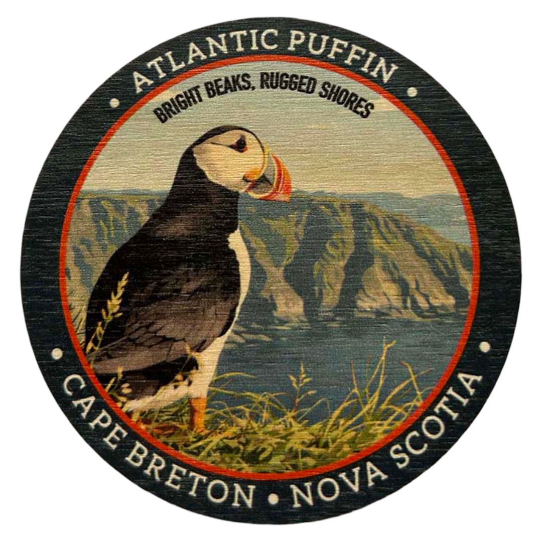 Atlantic Puffin Magnet - Nova Scotia