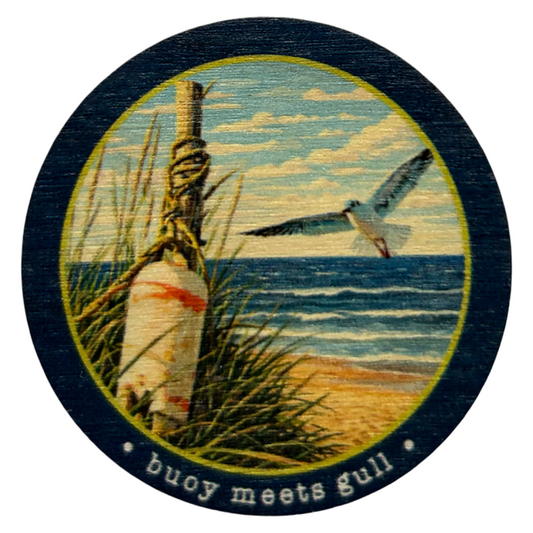 Buoy Meets Gull Magnet