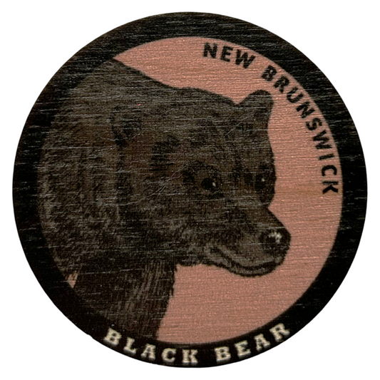 Black Bear New Brunswick Magnet