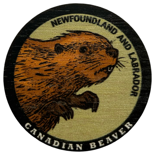 Canadian Beaver Newfoundland and Labrador Magnet