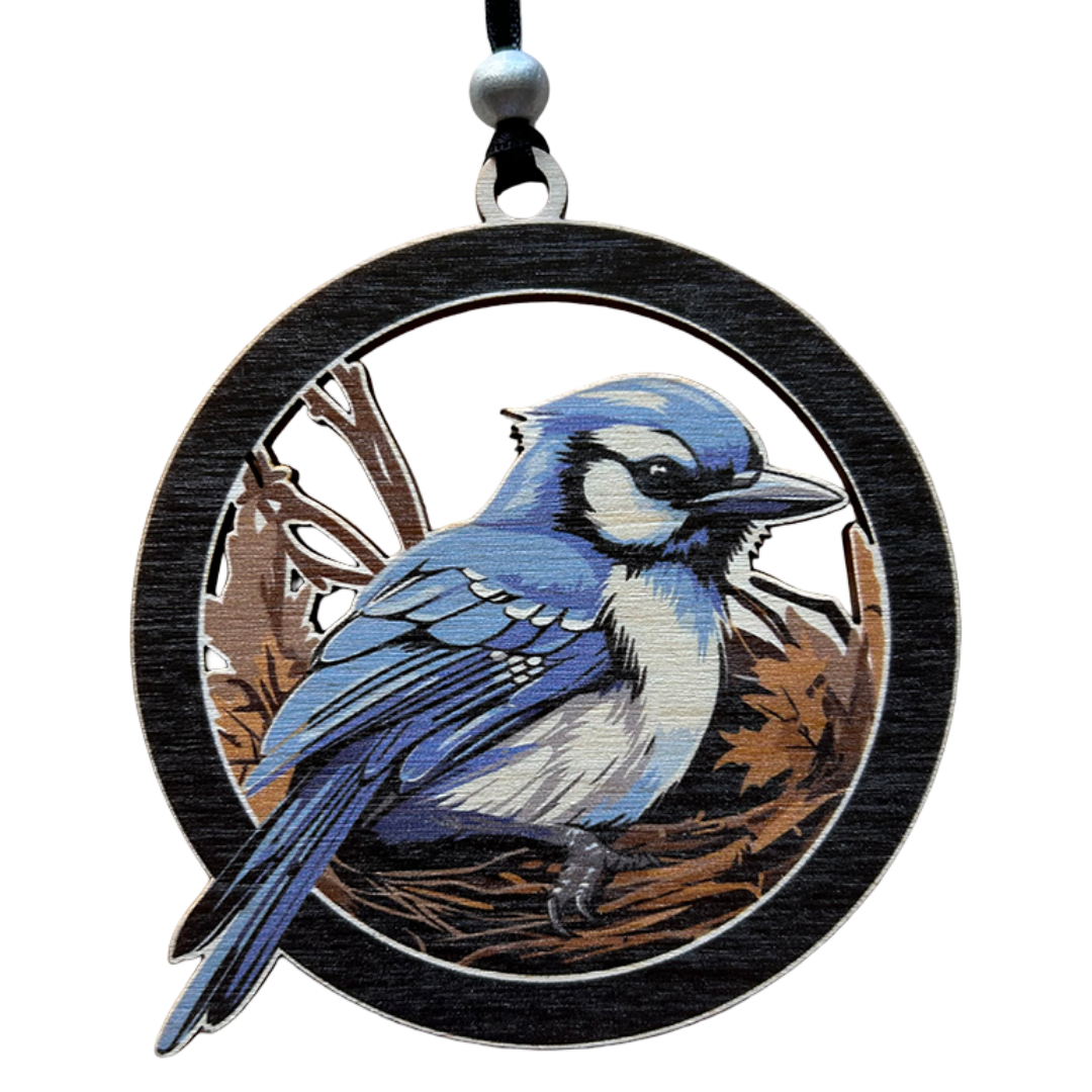 Juvenile Blue Jay Ornament