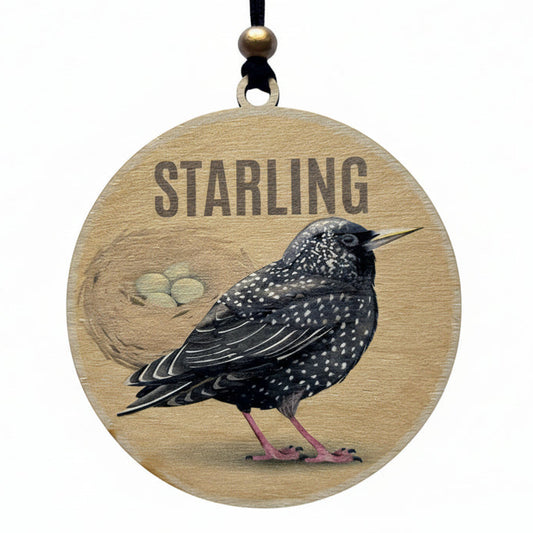 Starling Wild Bird Ornament